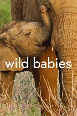 watch Wild Babies online free