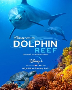 watch Dolphin Reef online free