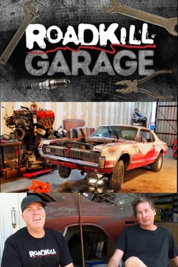watch Roadkill Garage online free
