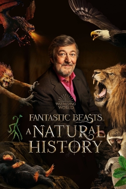 watch Fantastic Beasts: A Natural History online free