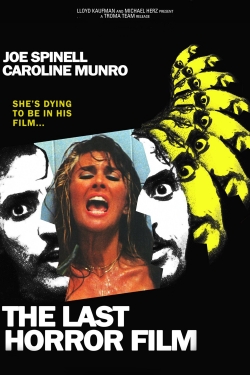 watch The Last Horror Film online free
