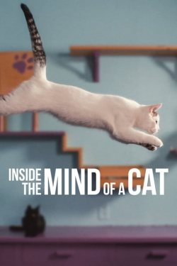 watch Inside the Mind of a Cat online free
