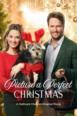 watch Picture a Perfect Christmas online free