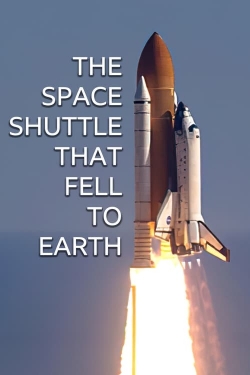 watch The Space Shuttle That Fell to Earth online free