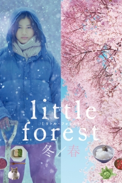 watch Little Forest: Winter/Spring online free