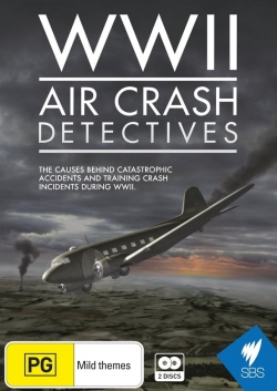 watch WWII Air Crash Detectives online free