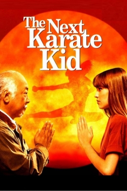watch The Next Karate Kid online free