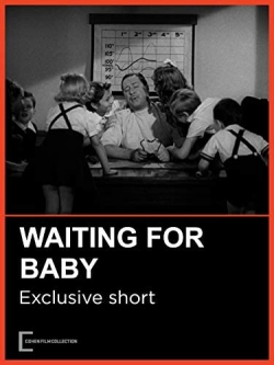 watch Waiting for Baby online free