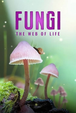 watch Fungi: The Web of Life online free