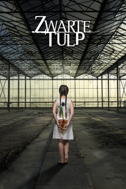watch Black Tulip online free
