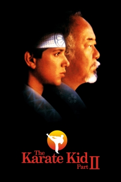watch The Karate Kid Part II online free