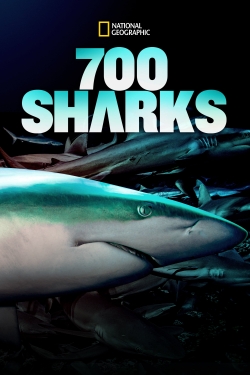 watch 700 Sharks online free