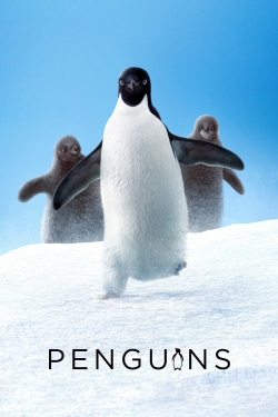 watch Penguins online free