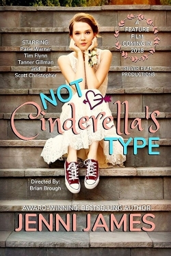 watch Not Cinderella's Type online free