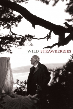 watch Wild Strawberries online free