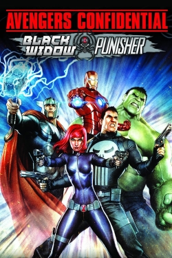 watch Avengers Confidential: Black Widow & Punisher online free