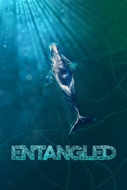 watch Entangled: The Race to Save Right Whales from Extinction online free