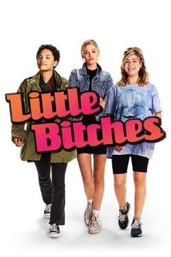 watch Little Bitches online free