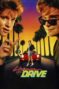 watch License to Drive online free