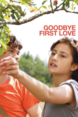 watch Goodbye First Love online free