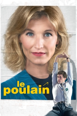 watch Le Poulain online free