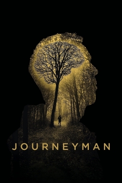 watch Journeyman online free