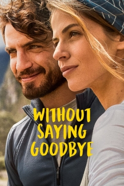 watch Without Saying Goodbye online free