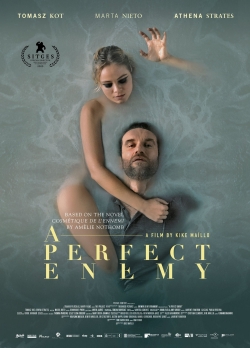 watch A Perfect Enemy online free