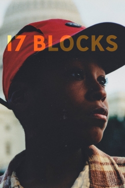 watch 17 Blocks online free