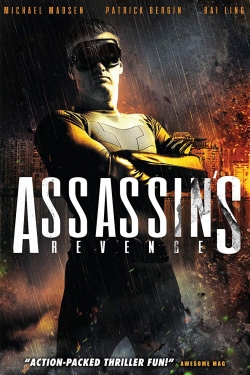 watch Assassins Revenge online free