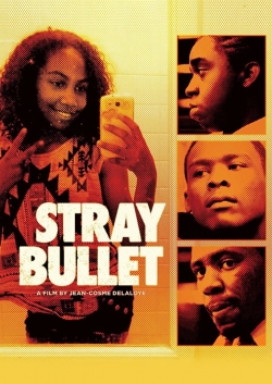 watch Stray Bullet online free