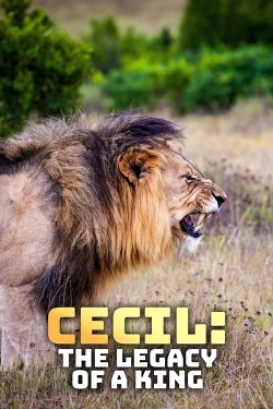 watch Cecil: The Legacy of a King online free
