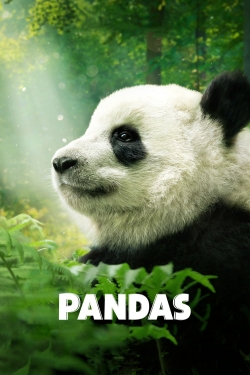 watch Pandas online free