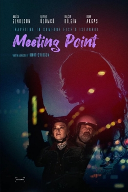 watch Meeting Point online free