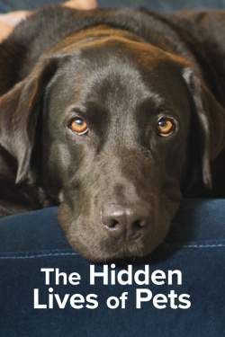 watch The Hidden Lives of Pets online free