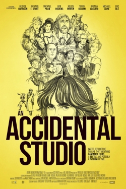 watch An Accidental Studio online free