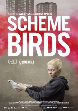 watch Scheme Birds online free