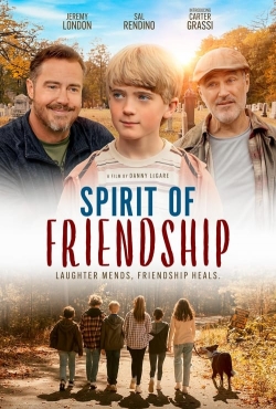 watch Spirit of Friendship online free