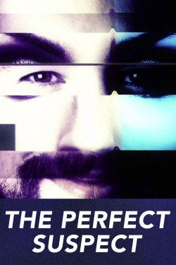 watch The Perfect Suspect online free