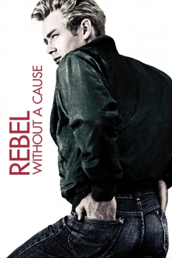 watch Rebel Without a Cause online free
