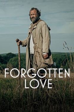 watch Forgotten Love online free