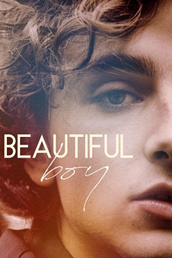 watch Beautiful Boy online free