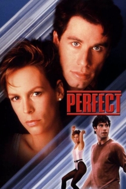 watch Perfect online free