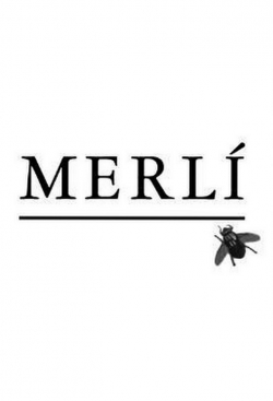 watch Merlí online free