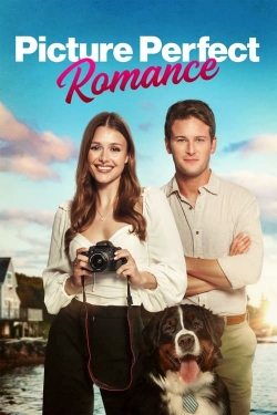 watch Picture Perfect Romance online free