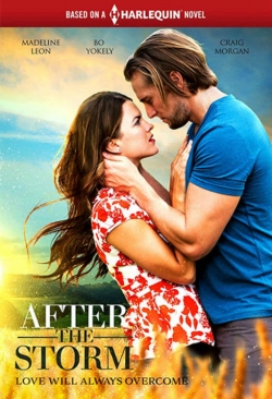 watch After the Storm online free