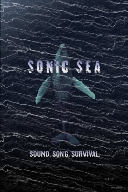 watch Sonic Sea online free