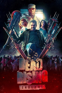 watch Dead Rising: Endgame online free