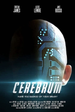 watch Cerebrum online free