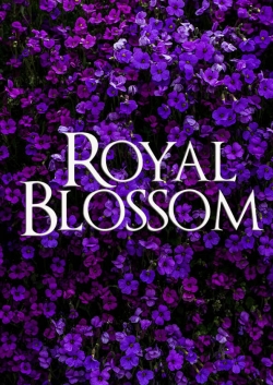 watch Royal Blossom online free